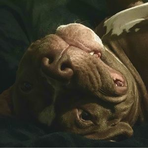 Meet your Posher, Jaime